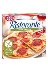 DR.OETKER Salaamipitsa 315g