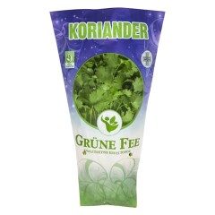 GRÜNE FEE Koriander potis 1pcs