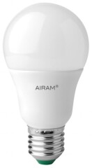 AIRAM Atspari karščiui šviesos diodų lemputė Airam Special, A60, 5,5 W, E27, 470 lm 1pcs