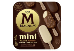 MAGNUM Sald.Magnum Classic izlase 6x55ml/266g 330ml