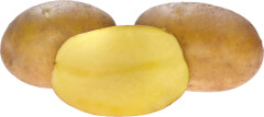 BALTIC AGRO Seed Potato 'Paroli' 2,5 kg 2,5kg